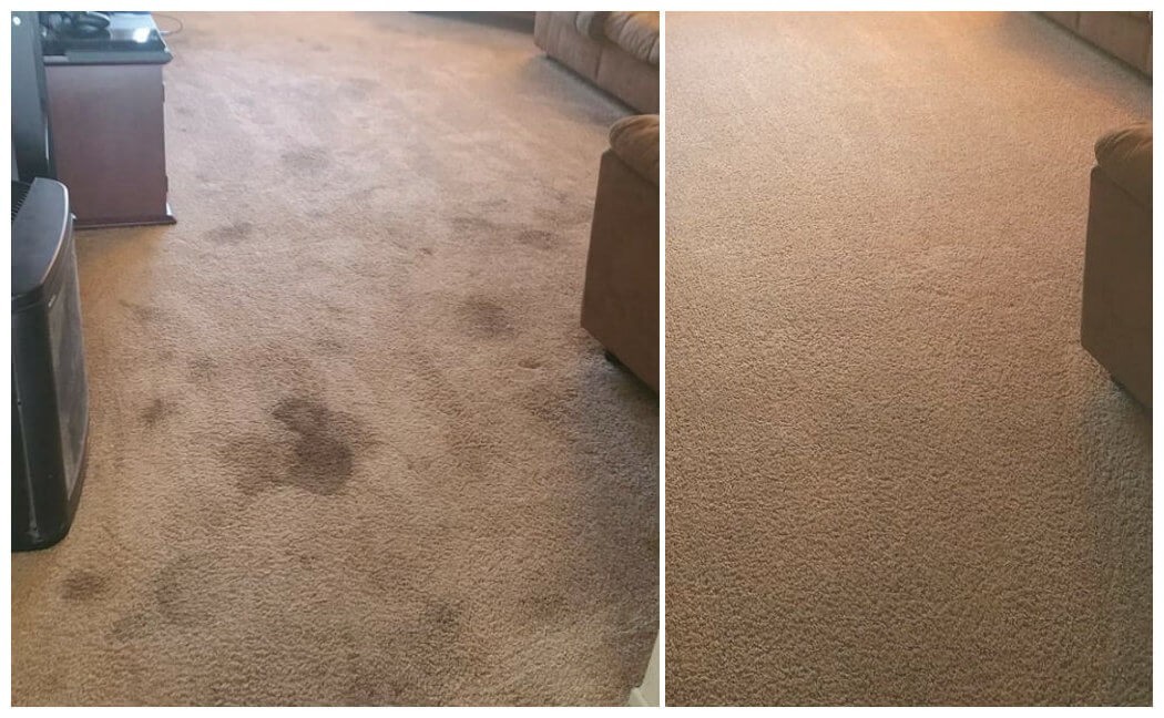 Stained carpet before and after professional deep clean — Chichester