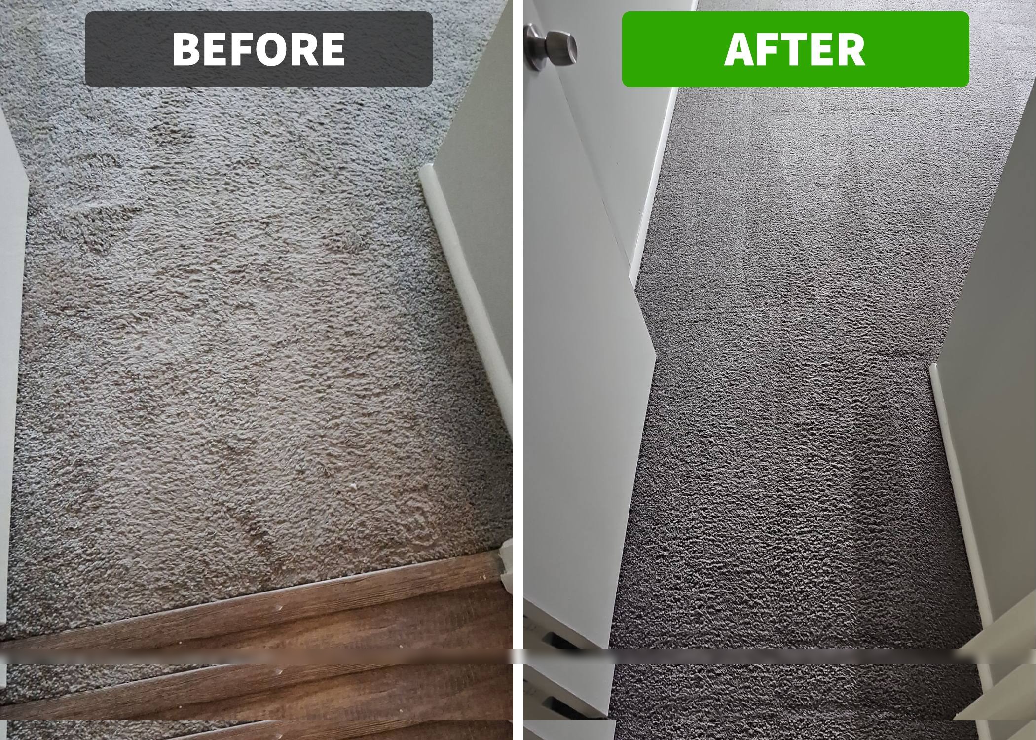 Carpet before and after professional deep clean — Chichester